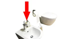 Stand alone bidet