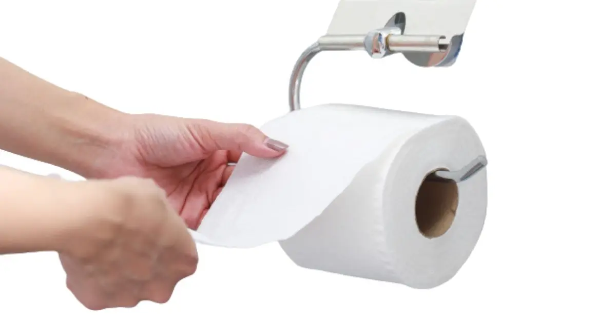 do you wipe before using a bidet