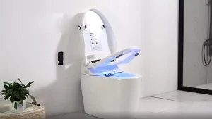 WSSW Luxury Bidet Toilet
