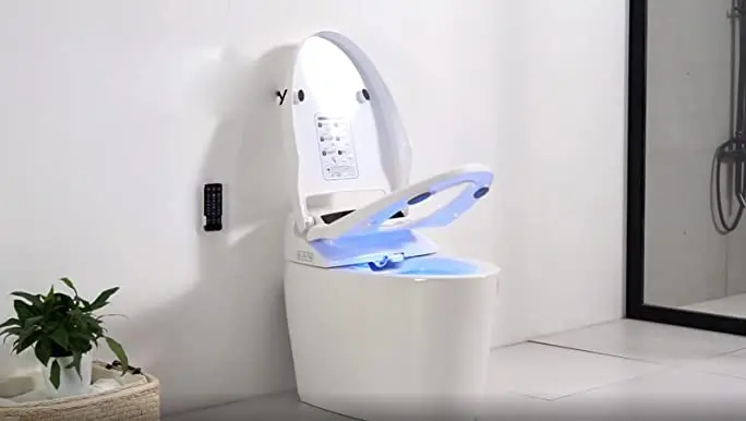 WSSW Luxury Bidet Toilet