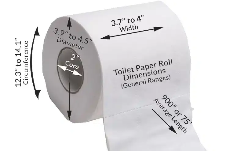How Tall is a Toilet Paper Roll