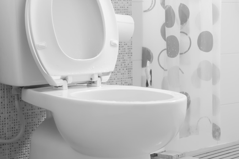 How to Remove Toto Toilet Seat