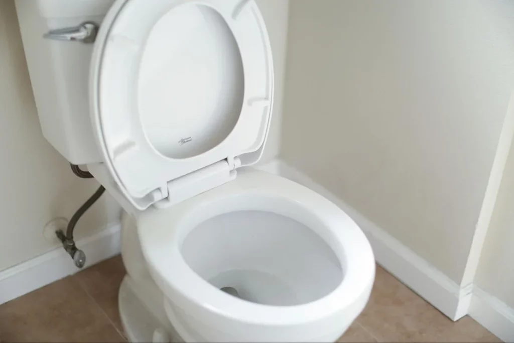 Why Should You Put Salt in Your Toilet