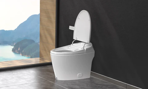 Can a Bidet Give You an Enema